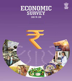 Economic Survey 2019-20